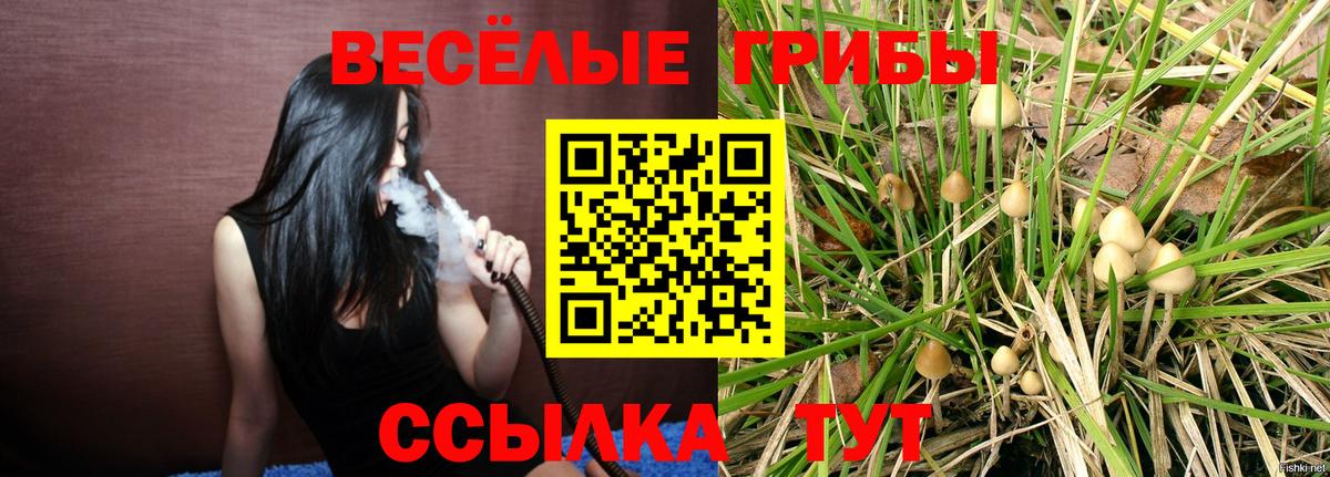 Мегион  Галлюциногенные грибы Magic Shrooms  магазин    Вход с VPN 
